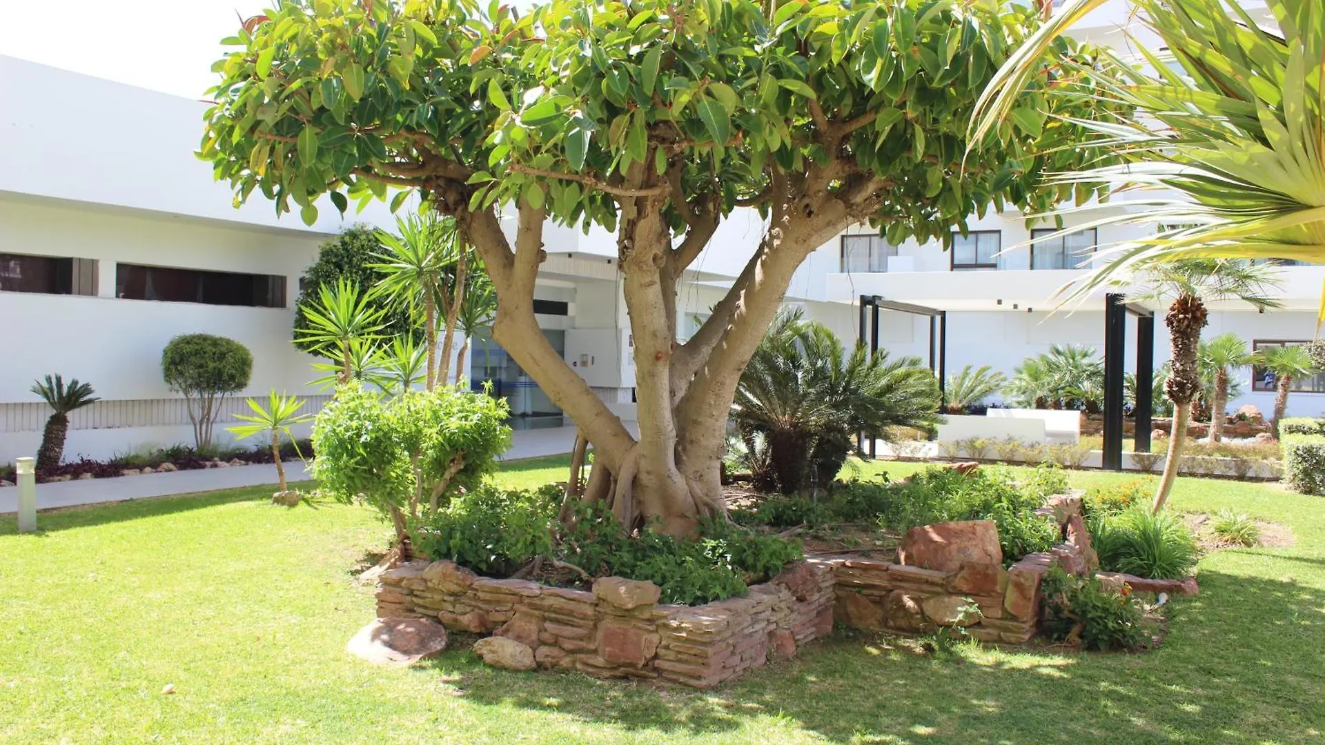 La Carihuela Ocean House Costa De Sol Torremolinos S Appartement