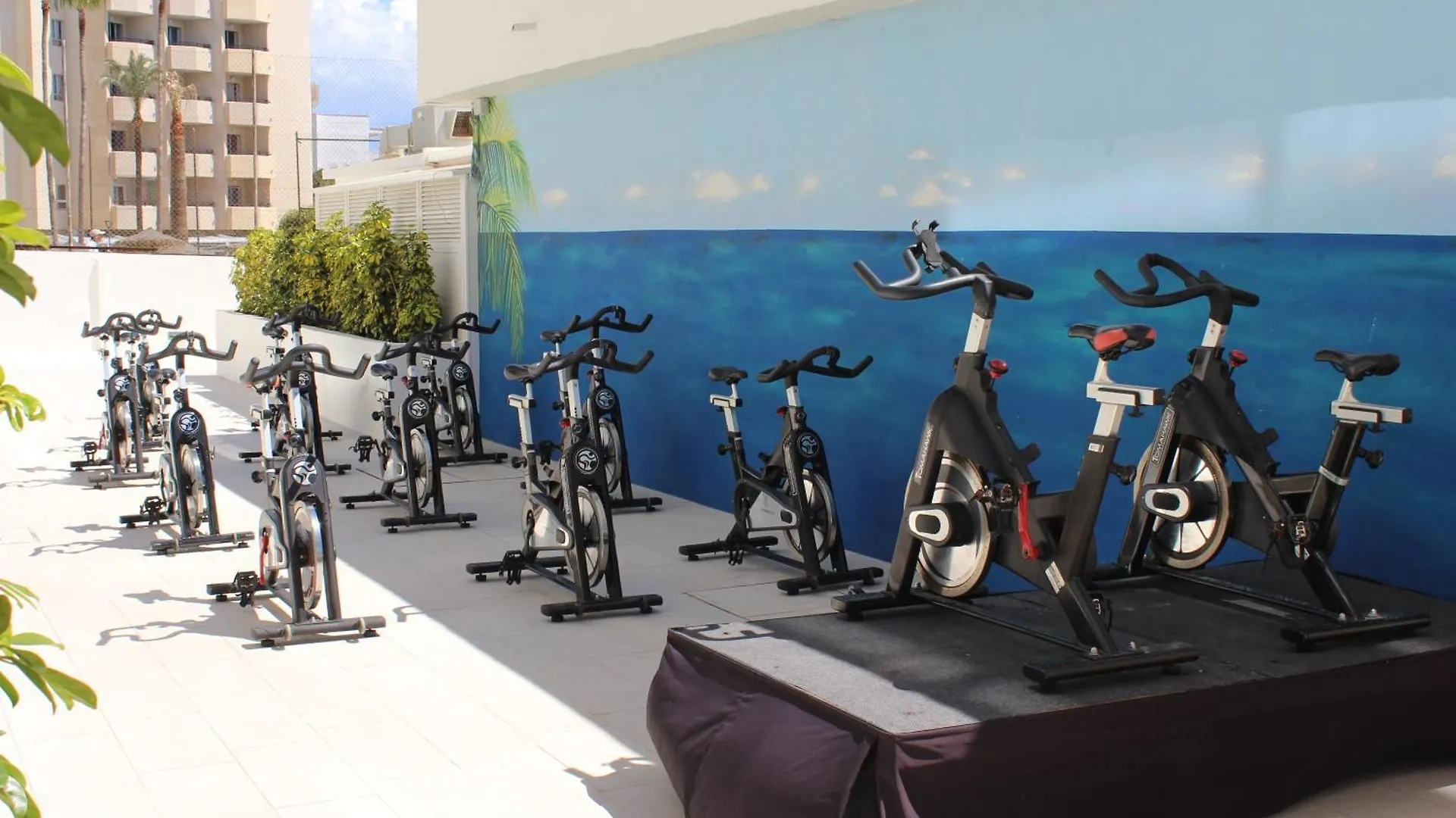 La Carihuela Ocean House Costa De Sol Torremolinos S Apartment Spain